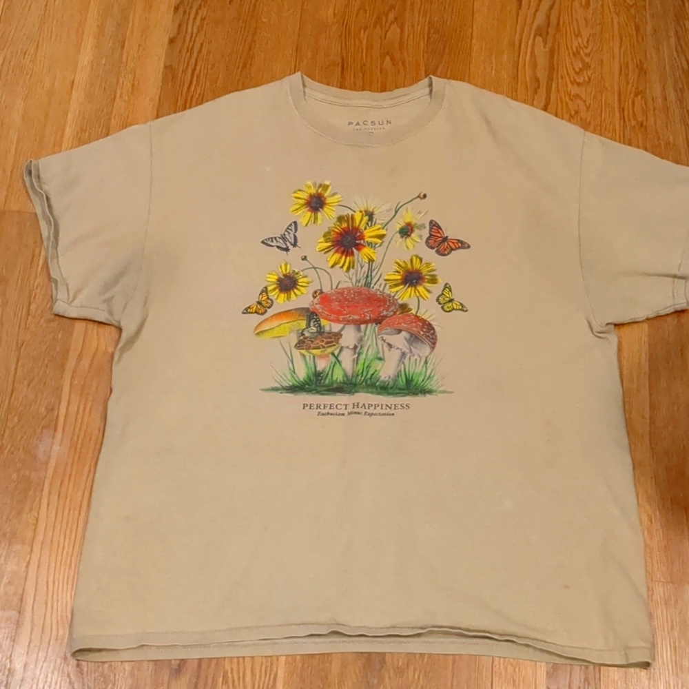 LAST DAY! Pacsun T-shirt, GUC